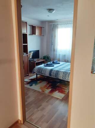 Проживание в семье Cozy room in Marasti Клуж-Напока Стандартный двухместный номер с 1 кроватью и общей ванной комнатой-2